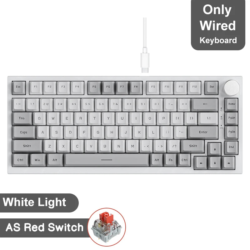 82 Keys Wireless Gamer Keyboard